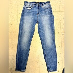 Judy Blue Light Wash Skinny Jeans